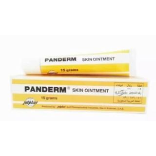 PANDERM OINTMENT 15 GM