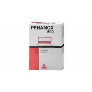 PENAMOX 500 MG CAPSULE 20P