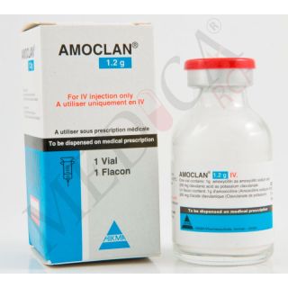 AMOCLAN 1.2 GM IV VIAL 1 P