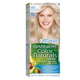 Garnier Hair Dye Color Silver Ashy Blonde 1001