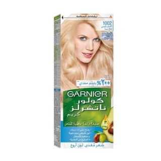 Garnier Hair Dye Color Extra Iced Light Blonde 1002