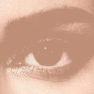 Anesthesia Daily Contact Lenses Caramello 2P