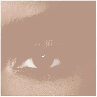 Diva Coloured Contact Lenses Monthly Woody 2P