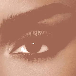 Diva Coloured Contact Lenses Monthly Truffle 2P