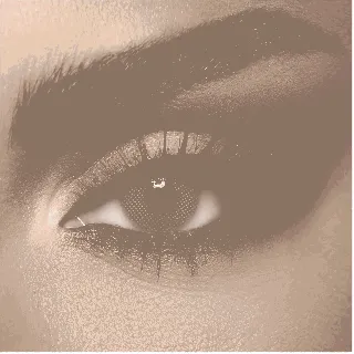 Diva Coloured Contact Lenses Monthly Navy 2P