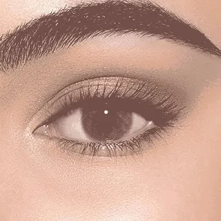 Lens Me Coloured Contact Lenses Daily Malakite 2P