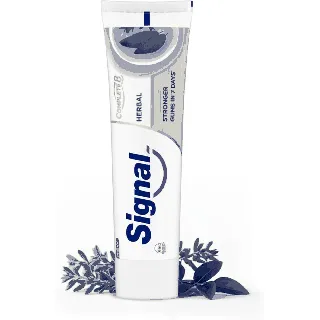 Signal Tooth Paste Complete 8 Herbal 75Ml