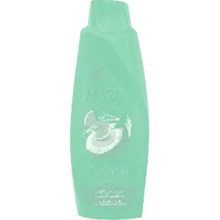 Pert Plus Hair Shampoo Anti Dandruff Coconut 600 Ml