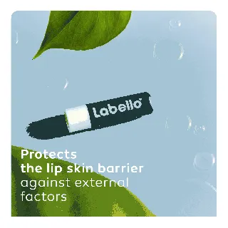 Labello Lip Balm Classic Care 24 C "Delisted"