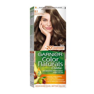 Garnier Hair Dye Color Dark Ashy Blonde 6.1