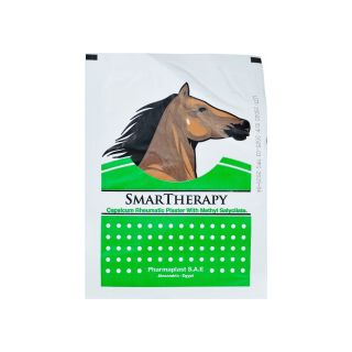 SMART THERAPY PLASTER BACK PAIN COLD 50 P