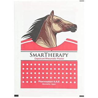 SMART THERAPY PLASTER BACK PAIN HOT 50 P