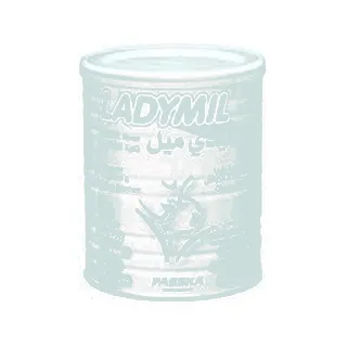 Ladymil Mother Milk Powder Vanilla 400 Gm