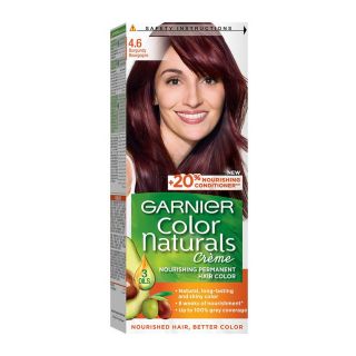 Garnier Hair Dye Color Burgundy 4.6