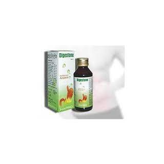 DIGESTON S. F. SYP 120ML