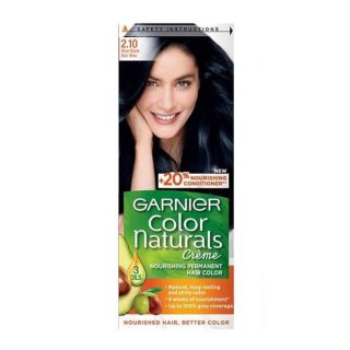 Garnier Hair Dye Color Blue Black 2.1