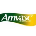 AMVASC