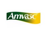 AMVASC